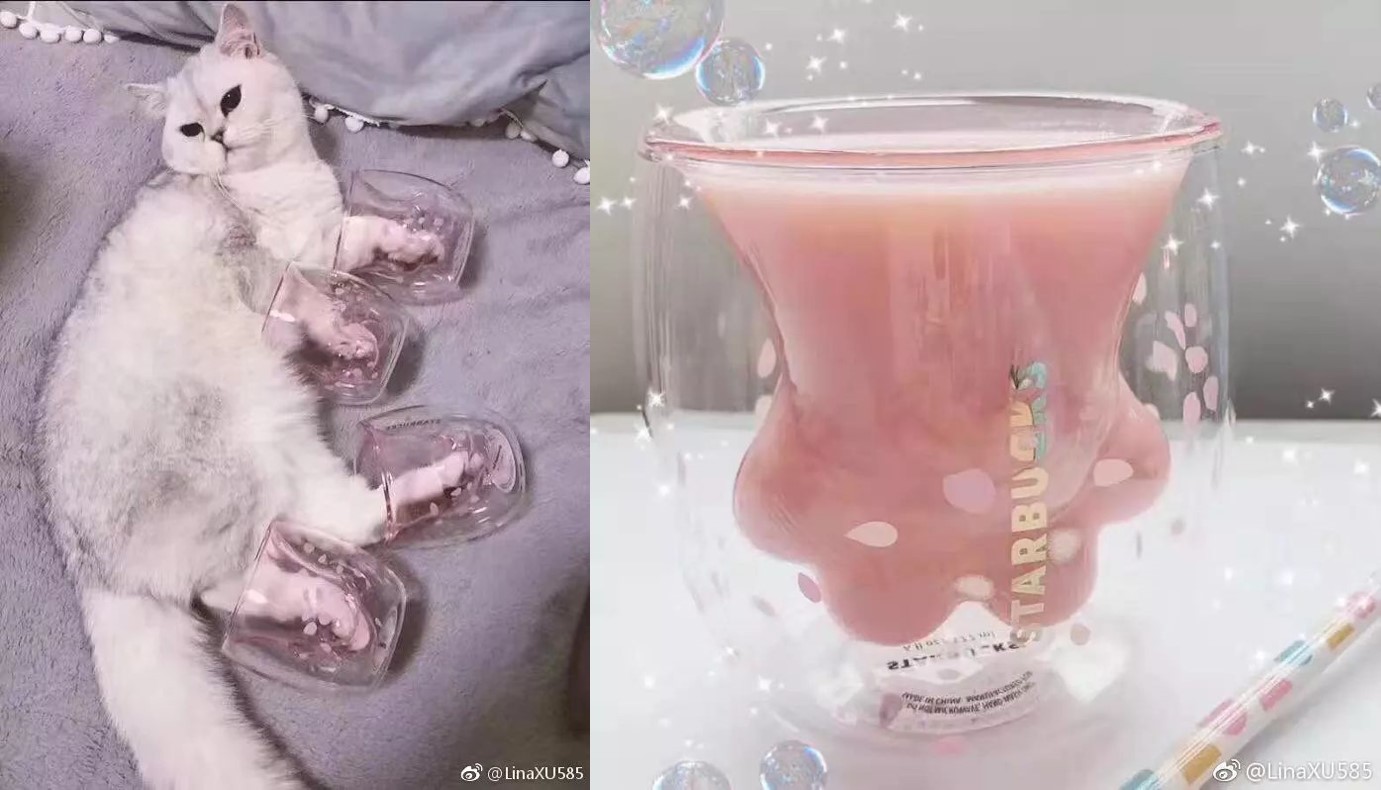 星巴克猫爪杯微博,有料品牌.jpg