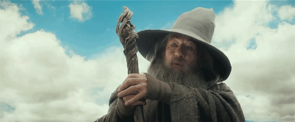 甘道夫 指环王 有料品牌.gif