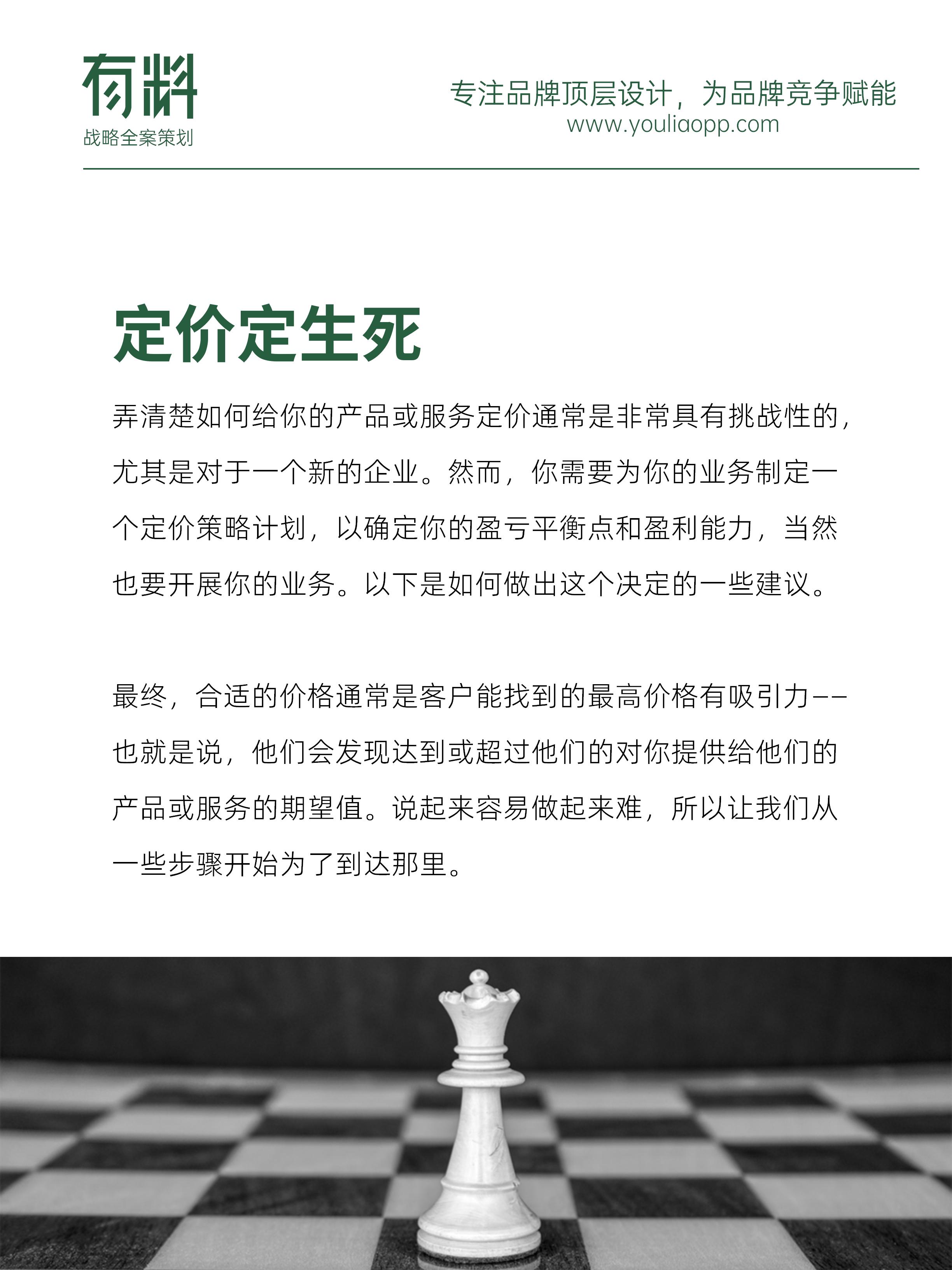 02 品牌策略、品牌战略定位、品牌策略规划、有料策划.jpg
